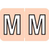 Amerifile ARAM-Series Label, Letter M