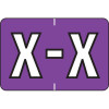 Barkley Alpha Labels Letter X Purple BRAM-X
