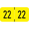 Digi-Color Year Labels, 2022, 1 1/2 x 3/4, Yellow, 500/Roll (DGYM-22)