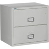 Phoenix 2-Drawer Lateral File Cabinet, 31 inches wide, 1-hour fireproof protection, gray finish