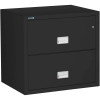 Phoenix 2-Drawer Lateral File Cabinet, 31 inches wide, 1-hour fireproof protection, black finish