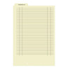Medical Fileback Divider Sheets, Bottom Tab, One Fastener, Preprinted [Problem List], 100 Sheets per Box