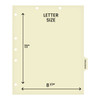 Chart Dividers, Side Tab, Position 5, Miscellaneous, Mania, 100/Box