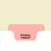 Chart Divider, Bottom Tab, Position 3, Pink, Physical Therapy, Pack/100
