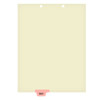 Chart Dividers, Bottom Tab, Position 3, Physical Therapy, Pink, 100/Box