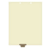 Chart Dividers, Bottom Tab, Position 4, Pathology, Brown, 100/Box
