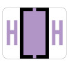 Click to zoom in on this Smead BCCR Compatible Label Letter H