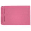 Starburst Catalog Pink (9 x 12) 4968
