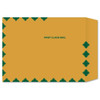 10 x 13 Roptex brown kraft First Class catalog envelope, 28 lb open end envelope with green diamond First Class Mail border, carton of 500