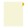 Medications Dividers, Side Tab, Position 1, Amber Tab, 50/Box (I632) - Full Image