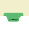 X-Ray/EKG Dividers, Bottom Tab, Position 4, Light Green Tab, 50/Box (I725) - Zoomed Image