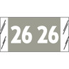 Acme Visible Compatible Year Label 2026 – Gray, 3/4 x 1-1/2, 12626