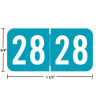 Acme Visible-compatible ACYM 2028 year label, light blue, 3/4 in x 1-1/2 in, wraparound, size guide shown (ACYM-28)