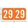 Acme Visible-compatible ACYM 2029 year label, orange, 3/4 in x 1-1/2 in, wraparound, size guide shown (ACYM-29)