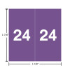 Ames AEYM year label, 2024, purple, 1-7/8" square, single-face with white “2024”; split-back liner.