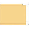 Extenda-Folder Strips, 9-1/2" x 3-3/4" (1" Tab Extension), White, 100/Box (55996)