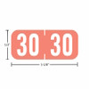 TAB year labels A1287-30-T3, 2029 Pink, 1/2 inch by 1-1/8 inch, matte vinyl, 500 per roll.