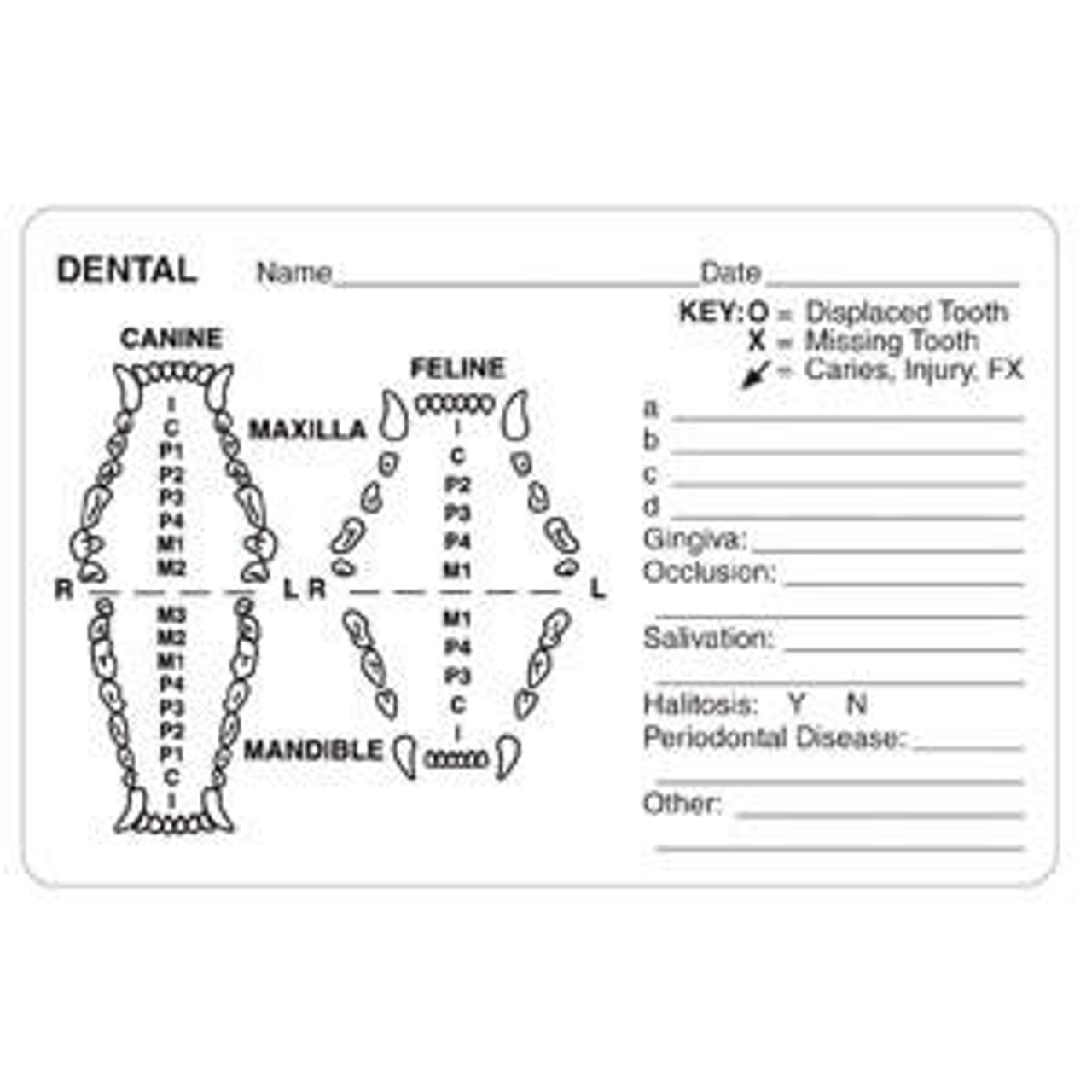 examination-record-labels-for-canine-or-feline-2-5-8-x-4-240-roll for Free Printable Canine Dental Record Examination Record Labels for Canine or Feline | 2-5/8 x 4, 240/Roll for Free Printable Canine Dental Record