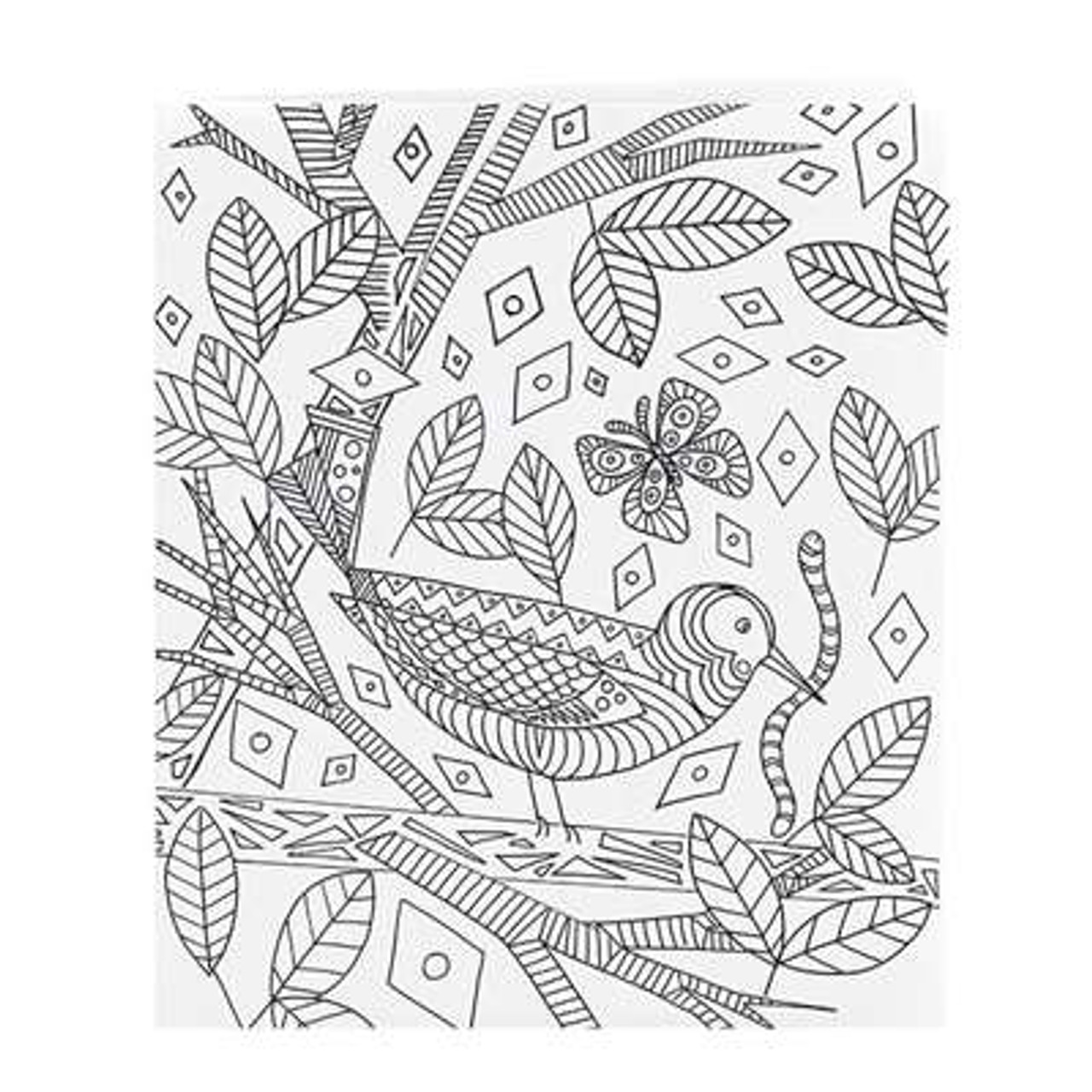 Smead Two-Pocket Coloring Folder, Floral-nature-birds and geometric designs, Letter Size, 4/Pack