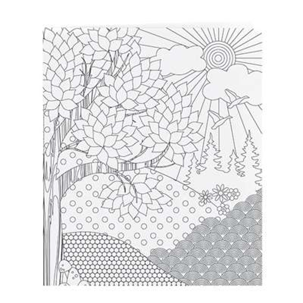 Smead Two-Pocket Coloring Folder, Floral-nature-birds and geometric designs, Letter Size, 4/Pack