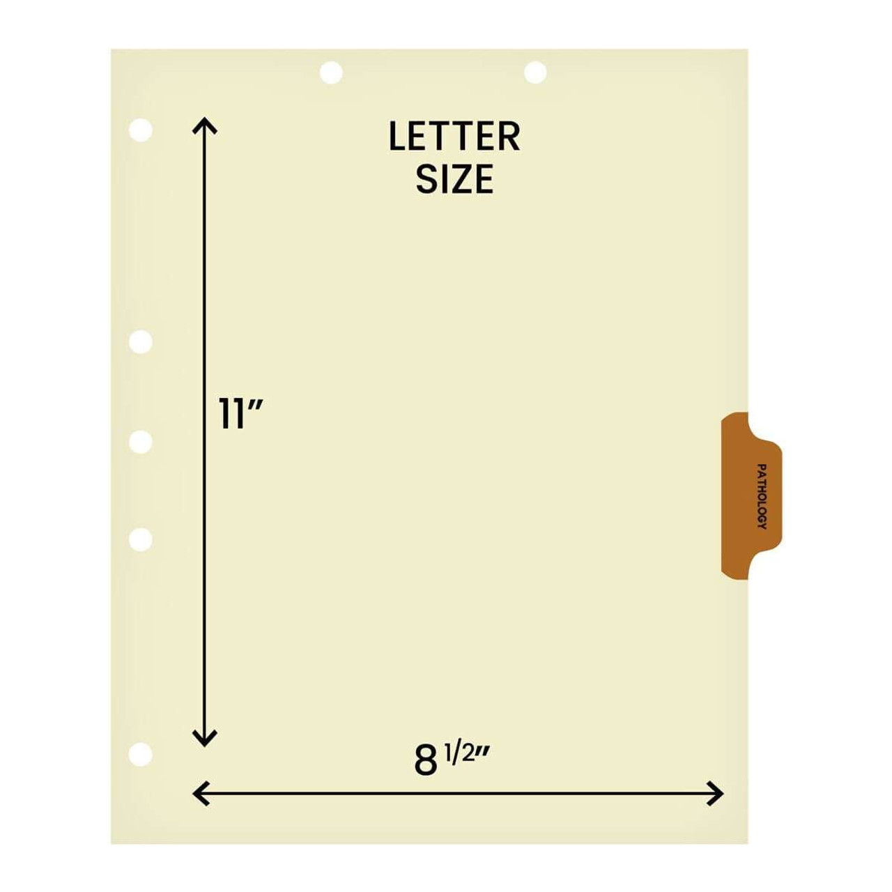 Chart Dividers, Side Tab, Position 4, Pathology, Brown, 100/Box