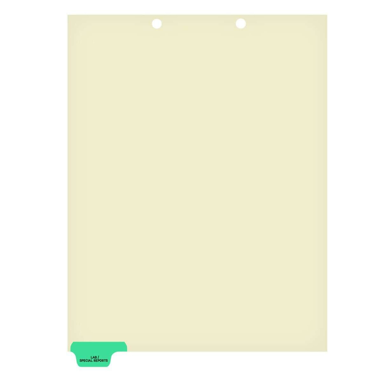 Chart Dividers, Bottom Tab, Position 1, Lab/Special Reports, Lt Green, 100/Box