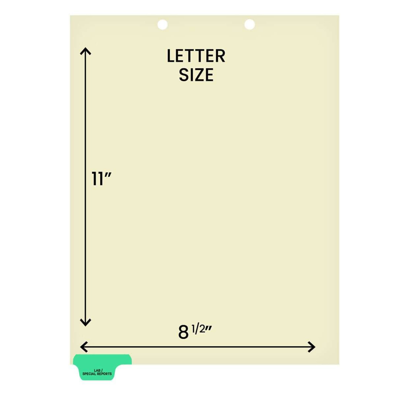 Chart Dividers, Bottom Tab, Position 1, Lab/Special Reports, Lt Green, 100/Box