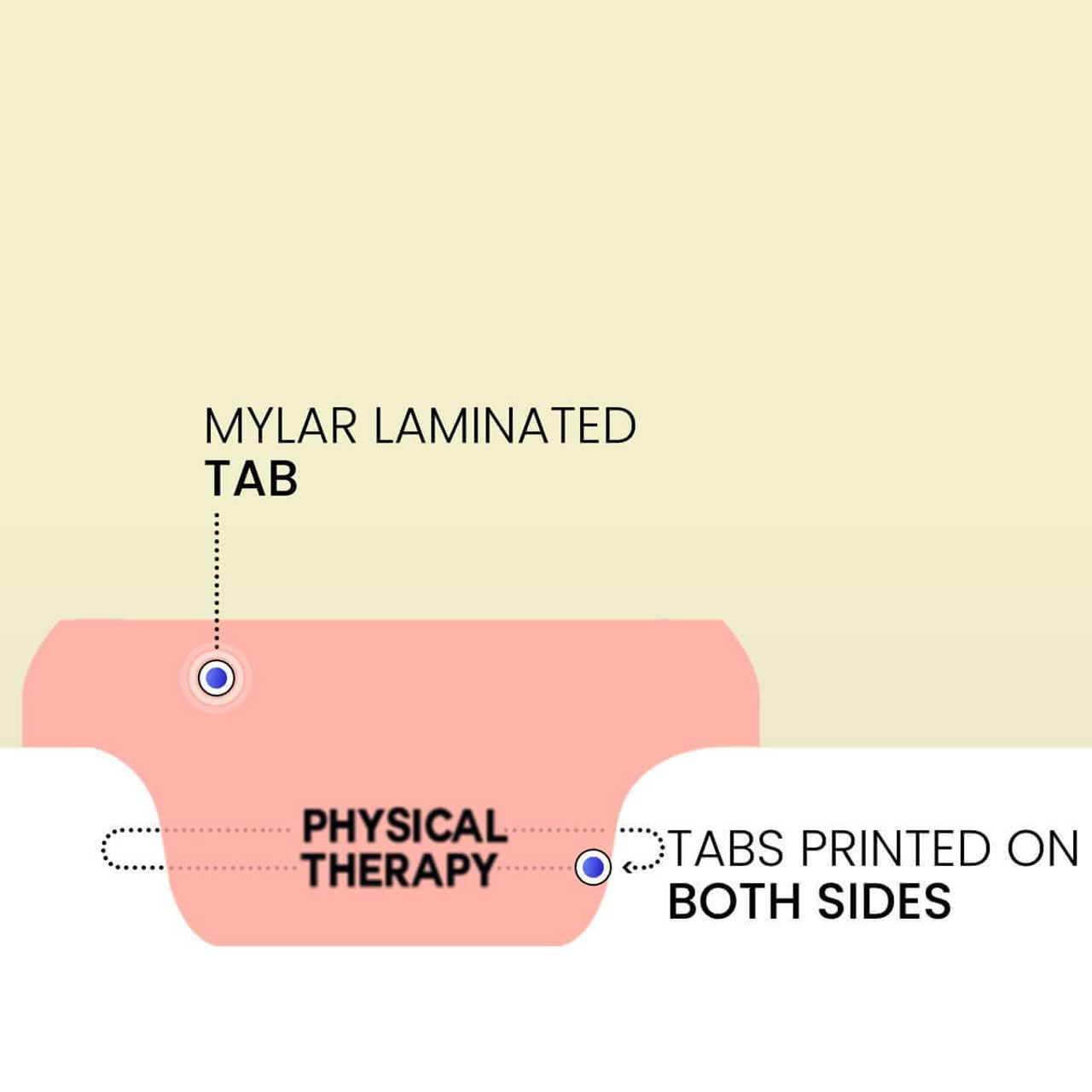 Chart Dividers, Bottom Tab, Position 3, Physical Therapy, Pink, 100/Box