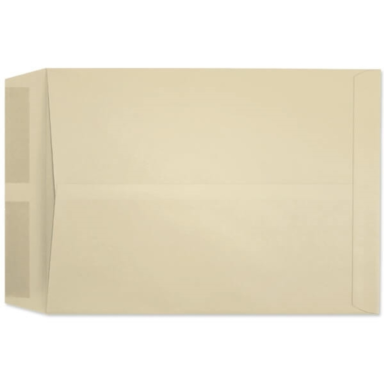 Catalog Envelopes, 10 x 13, 28lb Ivory, 500/Box