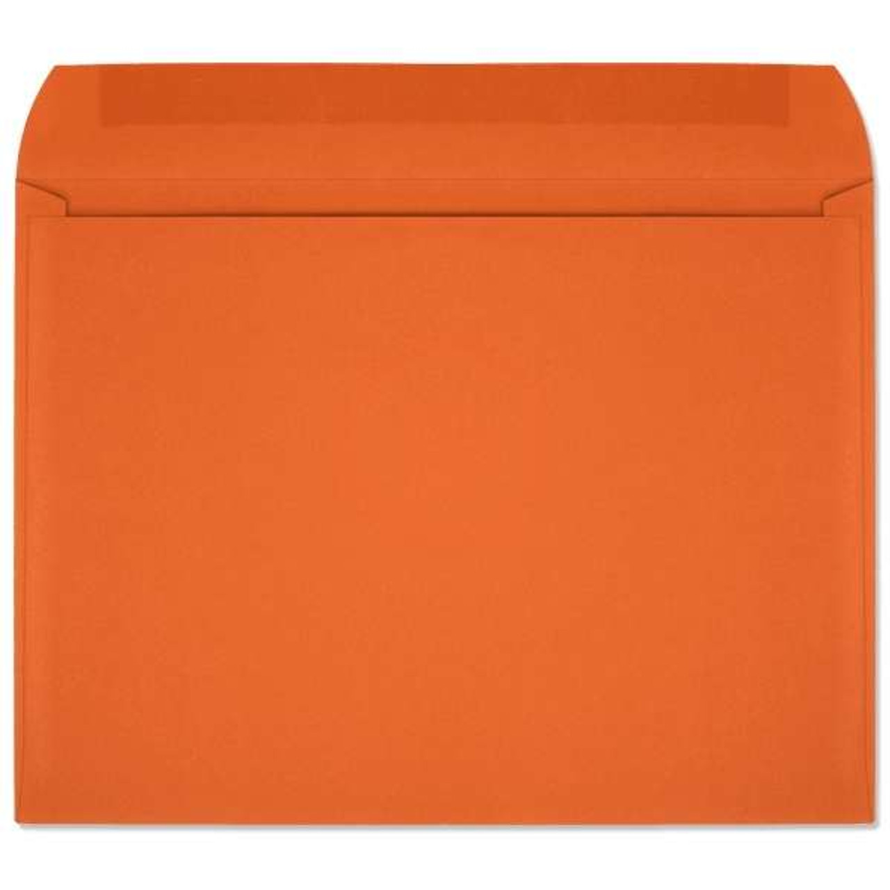 Starburst Open Side Booklet (9x12 Envelope) 7420