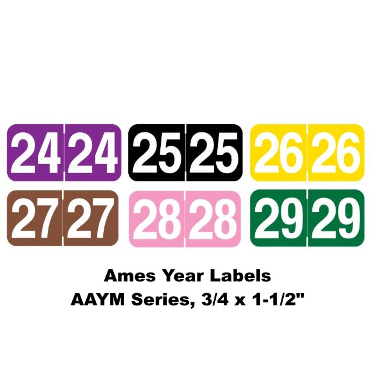 Ames Year Labels – AAYM Series, 3/4 x 1-1/2, Color-Coded Years 2024–2029