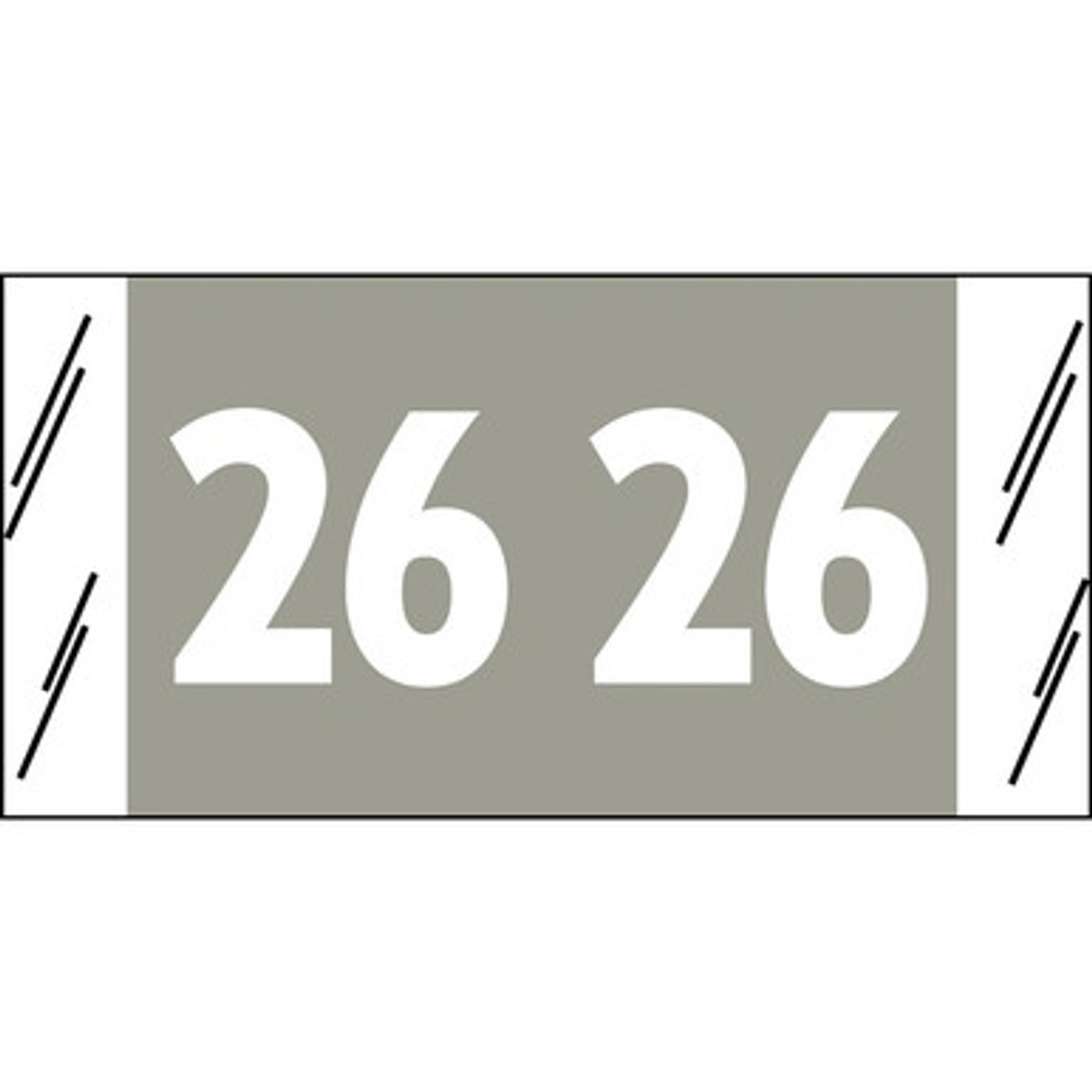 Acme Visible Compatible Year Label 2026 – Gray, 3/4 x 1-1/2, 12626