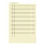 Medical Fileback Divider Sheets, Bottom Tab, One Fastener, Preprinted [Problem List], 100 Sheets per Box