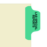 Chart Divider Tab, Position 1, Lt. Green, Lab/Special Reports, Pack/100