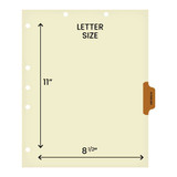 Chart Dividers, Side Tab, Position 4, Pathology, Brown, 100/Box