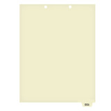Chart Dividers, Bottom Tab, Position 6, Hospital Records, Manila, 100/Box