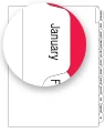 Monthly Index Tabs Jan-Dec - Avery Style, Letter Size, Side Tab, 24/Pack