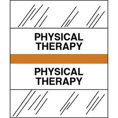 Medical Chart Index Tabs, Physical Therapy, Orange, 1/2 x 1-1/4, 100/Pk (54571)