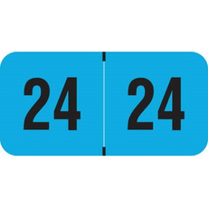 PMA Compatible Year Labels, 2024, Fluorescent Blue, 3/4 x 1-1/2, FBYM-24