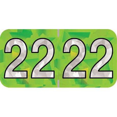 PMA Compatible Year Labels, 2022, Holographic Lime, 3/4 x 1-1/2, 500/RL