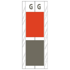 Acme Visible Label Letter G 4 x 1-1/2 102/Pack