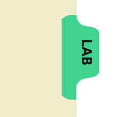 Chart Divider Tab, Position 2, Lt. Green, Lab, Pack/100