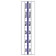 1 Inch Monthly Printed Index Tabs January to June - Blue Colored Edge for Document Organization