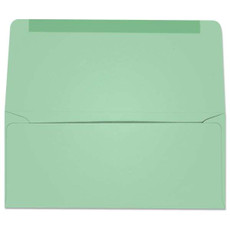 #9 Collection/Remittance Envelopes (W2175) 500/Box