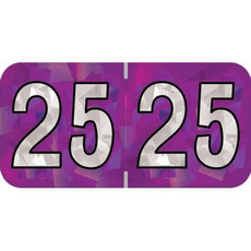 PMA Compatible Year Labels, 2025, Holographic Purple, 3/4 x 1-1/2, 500/RL