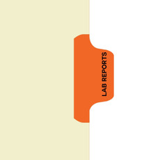 "Lab Reports" - Side Tab Chart Dividers with Hole Punch - Position 3 - Orange - Zoomed Image