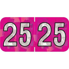 PMA Compatible Year Labels, 2024, Holographic Fuchsia, 3/4 x 1-1/2, 500/RL (HFYM-25)