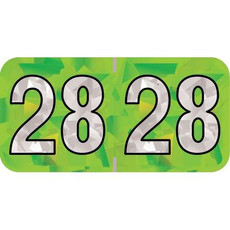 PMA Compatible Year Labels, 2028, Holographic Lime, 3/4 x 1-1/2, 500/RL
