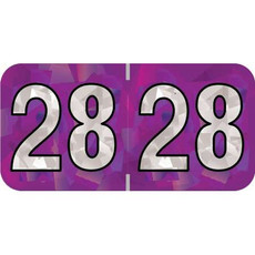 PMA Compatible Year Labels, 2028, Holographic Purple, 3/4 x 1-1/2, 500/RL