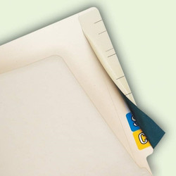 Tabbies Cov'R'Tabs, 2-1/2" W x 8" H, 50 per Pack (55990) Green background